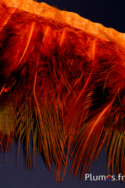 Frange faisan doré - long. plumes 6-8 cm - or aztèque